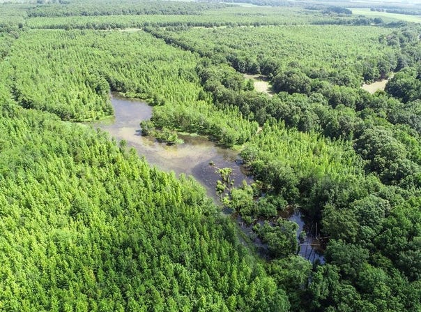 Hwy 6, MARKS, MS 38646
