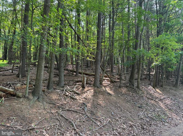 2380 CHEYENNE DRIVE, AUBURN, PA 17922