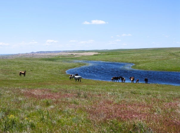 24900 Spring Draw Road, Senic, SD 57780