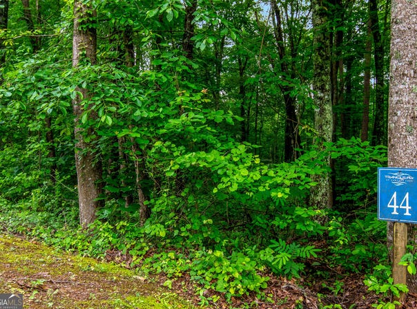 Lot 44 Harris Creek, Ellijay, GA 30540
