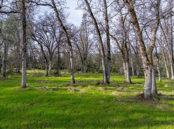 033 Soleado Lane, Redding, CA 96001