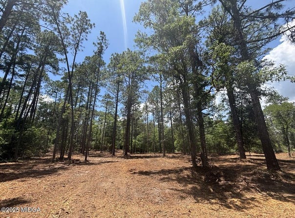2 Longleaf Estates Road, Macon, GA 31216