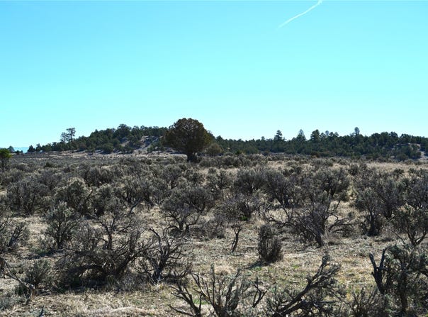 Pajarito DR, Tierra Amarilla, NM 87575