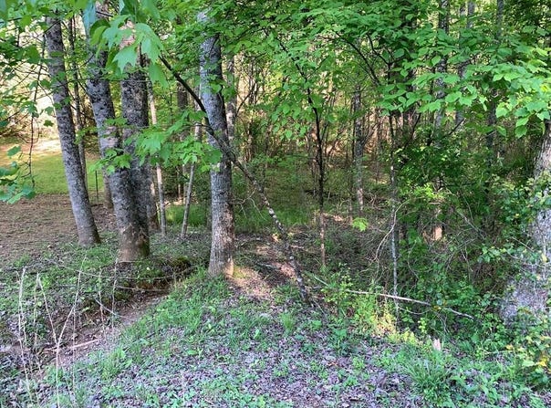 4 Hunter Valley Rd, MURPHY, NC 28906