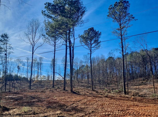 PAUL BOLTON Rd, Parrish, AL 35580