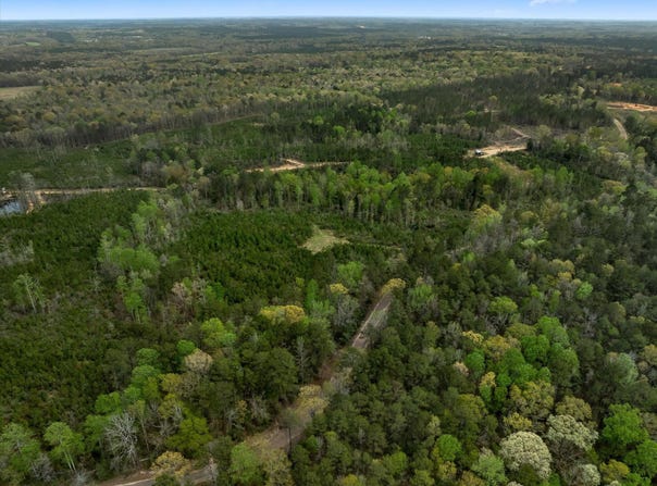 Parcel 3 Stephens Cemetery Rd., Silver Creek, MS 39663