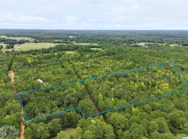 SCROGGINS DRIVE lot: 0, TALLASSEE, AL 36078