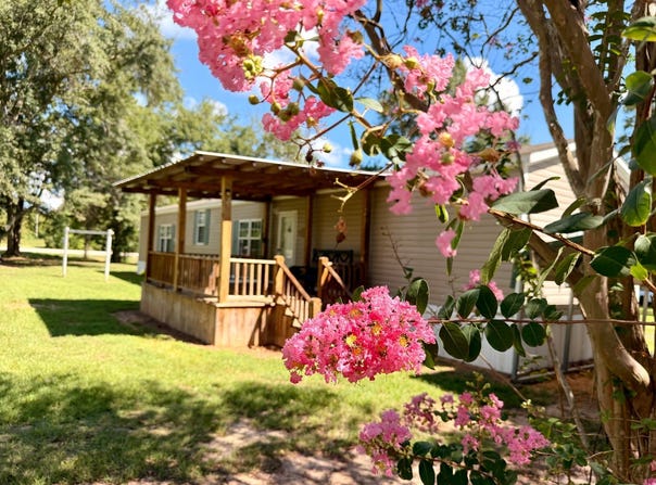 259 N Church Street, Grove Hill, AL 36451