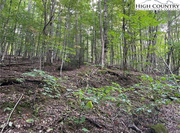 126 Arrowhead Road, Beech Mountain, NC 28604