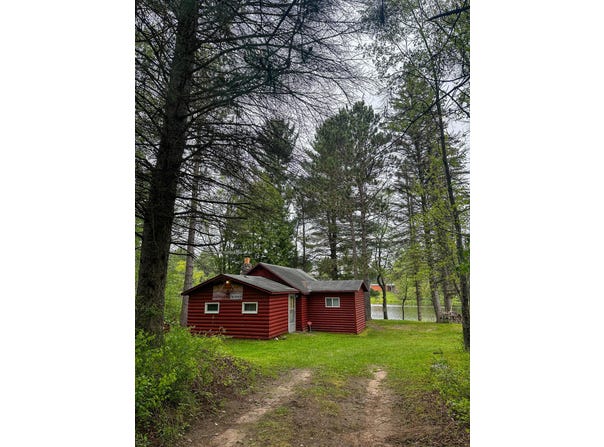 3151 N Douglas Road, Luther, MI 49656