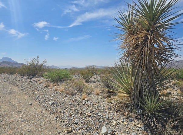 4701 Gate 4 Rd, Terlingua, TX 79852