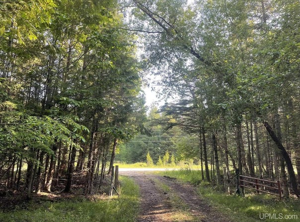 TBD 17th Rd, Garden, MI 49835