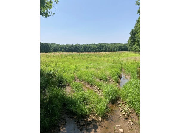 0 Heath Hill Road Road, Dickinson Center, NY 12930
