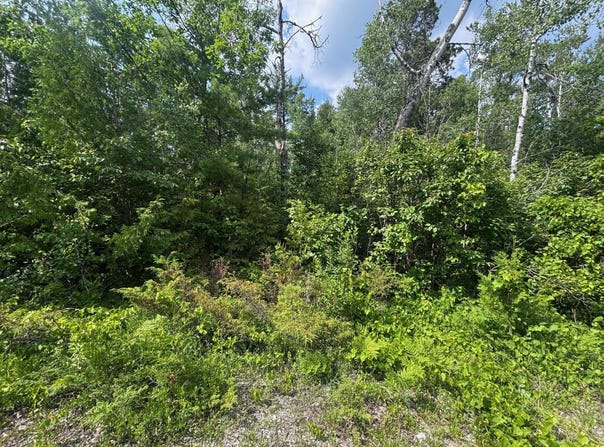 NHN Cedar Terrace, Presque Isle, MI 49777