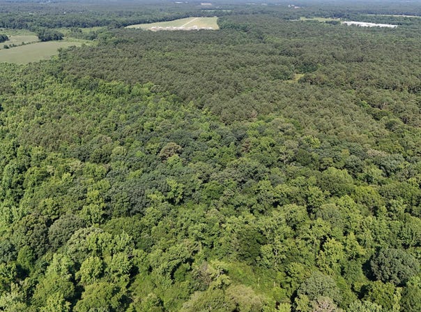0 Reedsford Road, Turkey, NC 28393