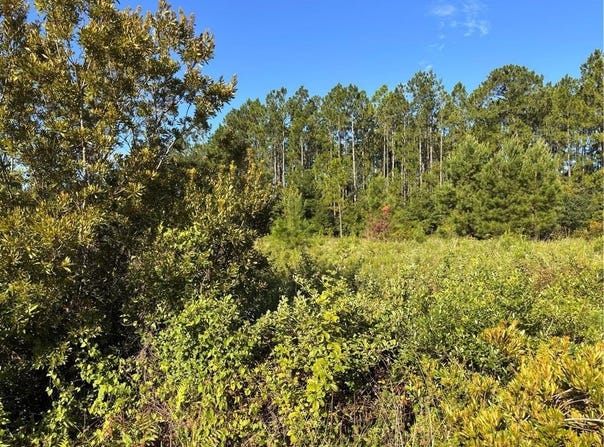 0 Horseshoe Cove, Waverly, GA 31565