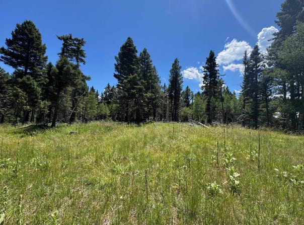 Lot 73 Calle de los Indios, Angel Fire, NM 87710