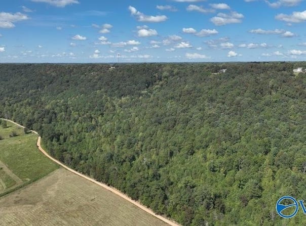 Lot 3 County Road 223, Collinsville, AL 35961