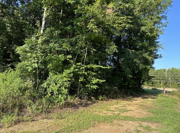 MS-373, Columbus, MS 39705