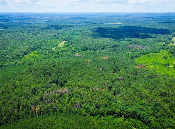 Sweet Water Road, Daviston, AL 36256