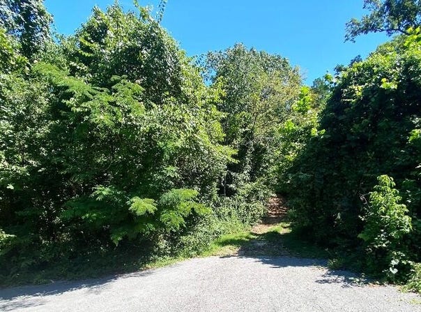 19 Moore Lane, Blue Eye, MO 65611