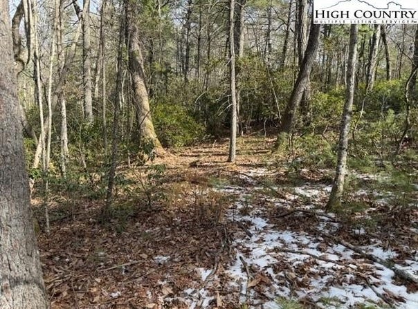 Lot 18 Walden Lane, West Jefferson, NC 28694
