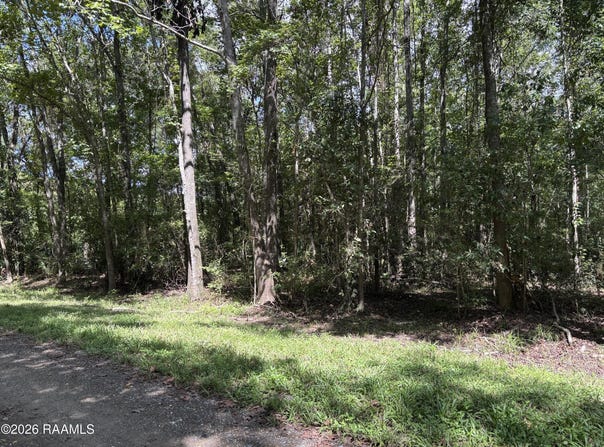Cecil Lane lot: 10, Abbeville, LA 70510
