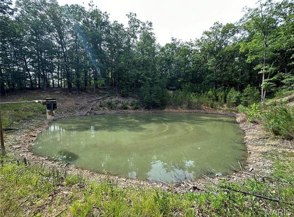 10152 Spool Lane, Potosi, MO 63664