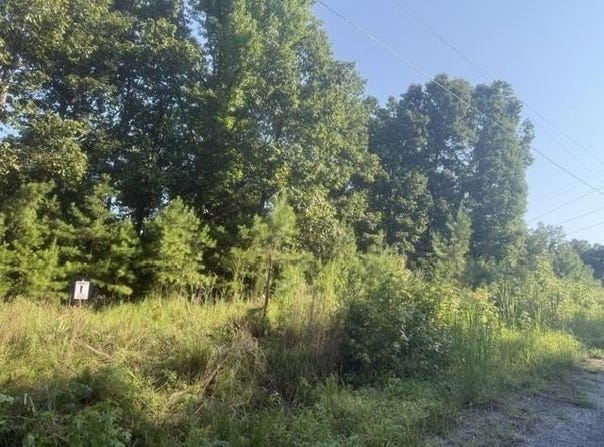 TRACTS 1-4 CARROLL HOLLOW Rd lot: 1,2,3,4, Waynesboro, TN 38485