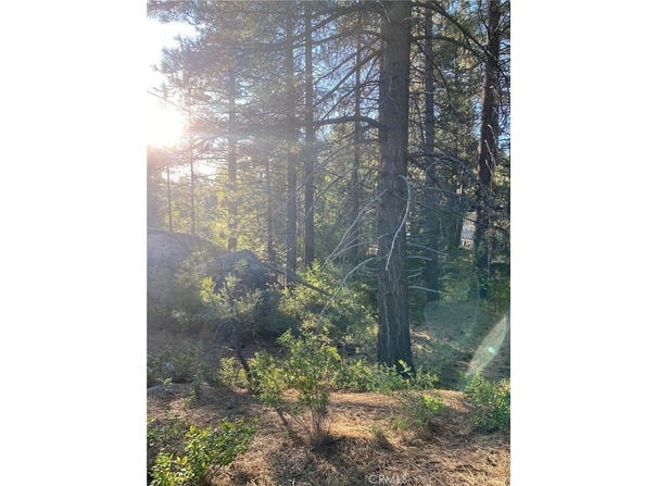 0 Cienega Road, Big Bear, CA 92315
