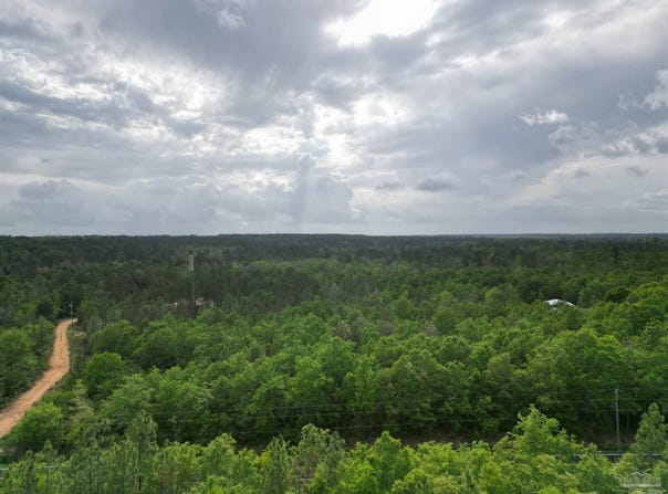 Tbd Walling Rd, Jay, FL 32565