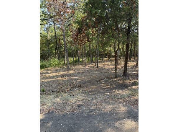 Garner Drive, Mabank, TX 75156