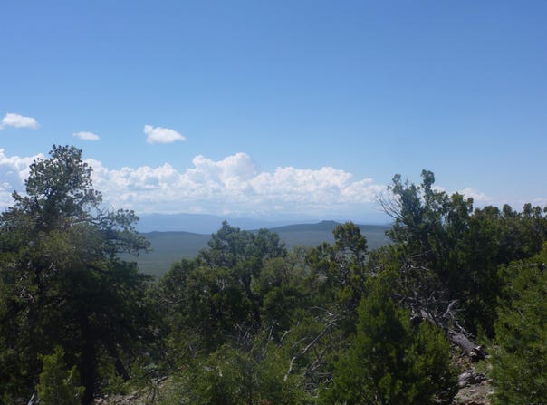 23205 US 64, Taos, NM 87577-1111