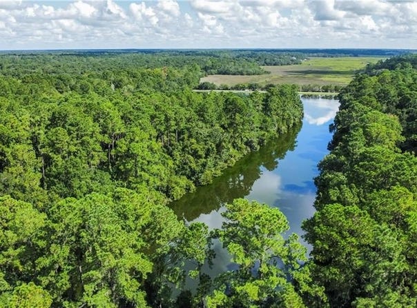 Lot 14 CARNOCHAN Drive, Darien, GA 31305