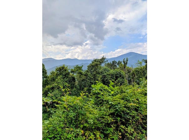 #3 Forest Drive, Maggie Valley, NC 28751