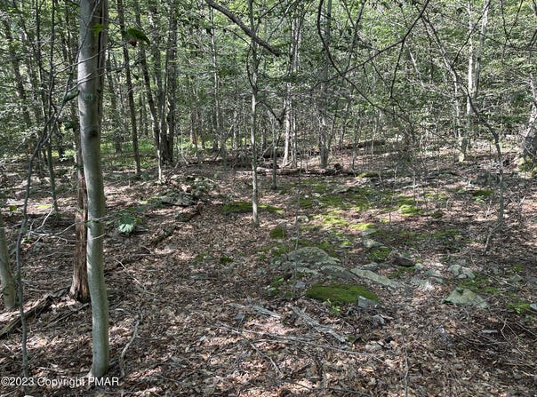Lot 87 Sunfish Court, Canadensis, PA 18325