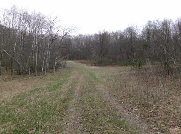 880 Judy Trail, Harrison, MI 48625