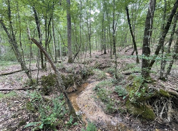 0 Antioch Road, Hazlehurst, MS 39083