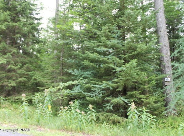517 E Forest Road, Pocono Lake, PA 18347