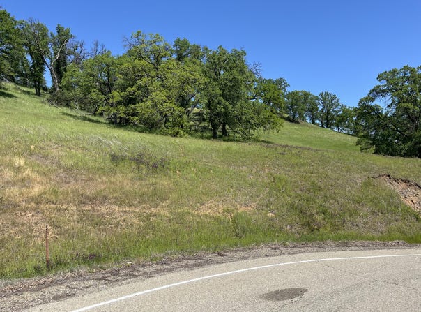 Lot 29 Deer Crest Trail, Cottonwood, CA 96022
