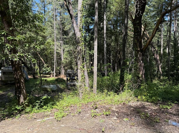 Sunny Valley Loop, Wolf Creek, OR 97497