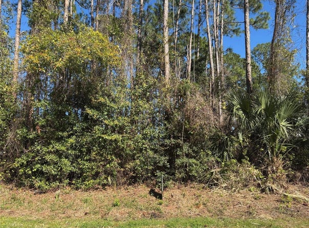 24 BRIGADOON LANE, PALM COAST, FL 32137