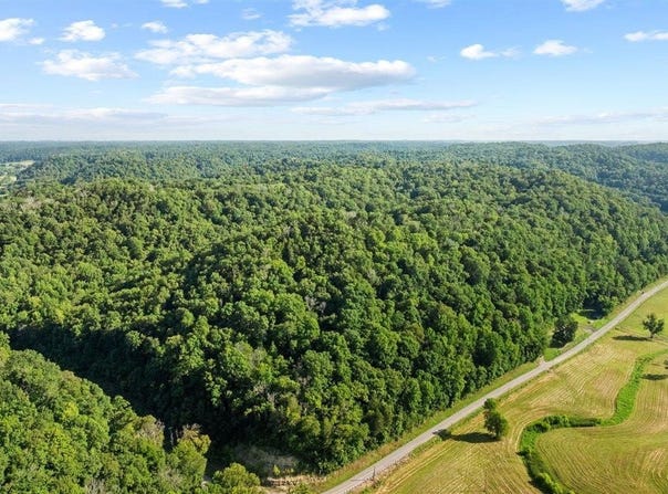 Crocus Creek Road, Burkesville, KY 42717