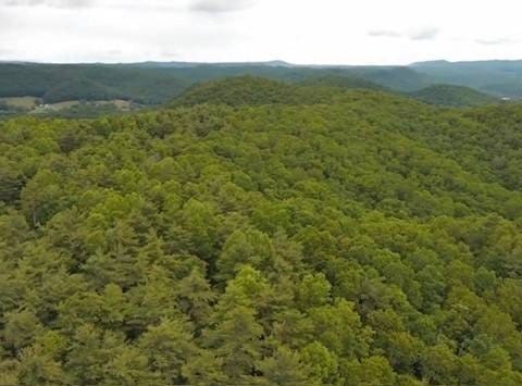 000 Beckley Rd., Camp Creek, WV 25820