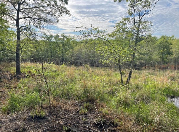 TBD 1980 RD, Soper, OK 74759