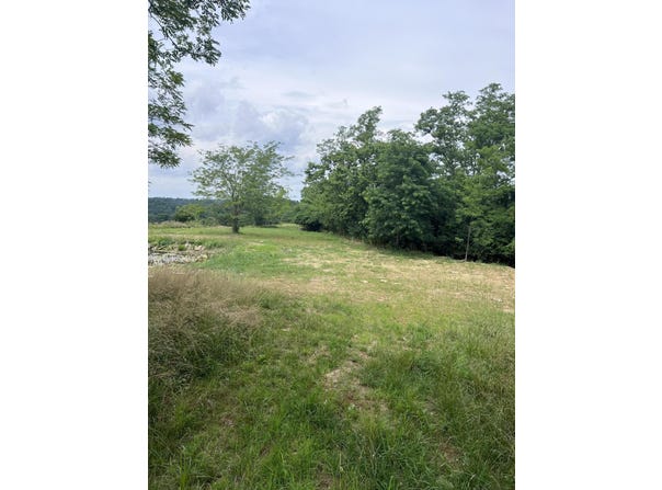 0 Jacobs Road, Butler, KY 41006