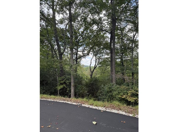 Sapphire Ridge lot: 13, Blue Ridge, GA 30513