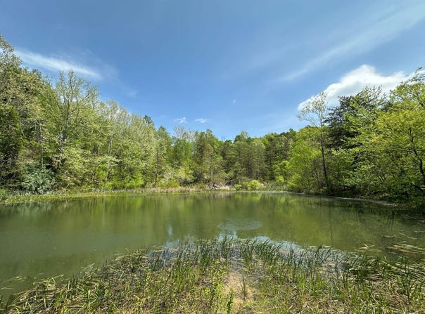 31 Clay Camp Road, Grayson, KY 41143