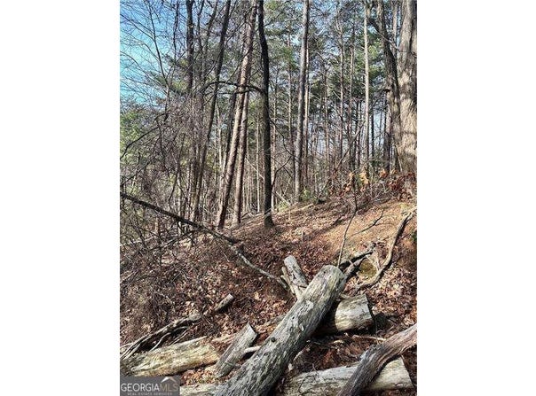 Log Swamp Drive, Jasper, GA 30143