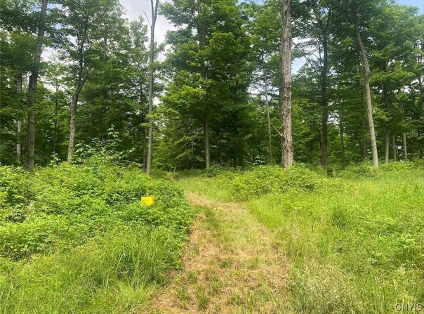 Fulmer Valley Road, Wellsville, NY 14895